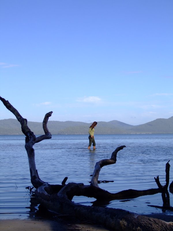 The Lake near Forster